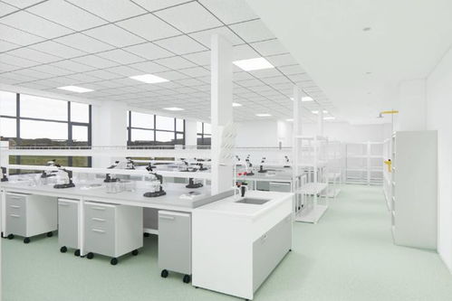 春運火車票優惠新舉措與蘇州數字經濟活力